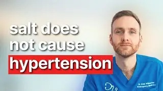Salt Isn&rsquo;t the Real Cause of High Blood Pressure