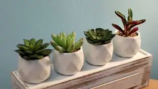 HOME DECOR | Tips to add a bit of life at home | Artificial Succulent Plants