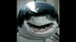 From The Depths (2020)