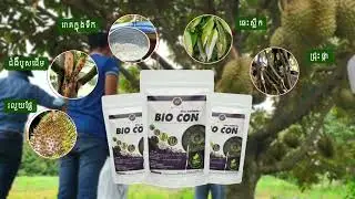 #BlOCONគឺជាប្រភេទថ្នាំព្យាបាលរោគគ្រប់ប្រភេទទំនាក់ទំនងលេខទូរសព្ទ0976562962#durian #cambodia #food