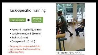 Task-Specific vs Impairment Based Training on Locomotor Performance in Individuals with Chronic SCI
