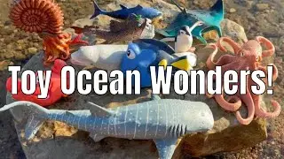 Discover Ocean Facts with Toys!