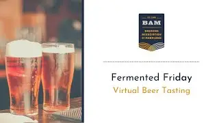 Fermented Friday Virtual Beer Tasting, feat. Heavy Seas Beer