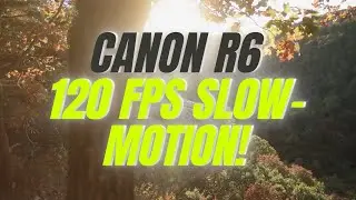 Canon R6 - 120FPS Slow Motion