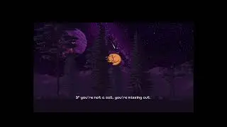 Chatty Cat: The Forest Zen Experience