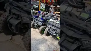 Квадроциклы PROMAX (ПРОМАКС) в прокате в Тайланде! #shorts #xmotors