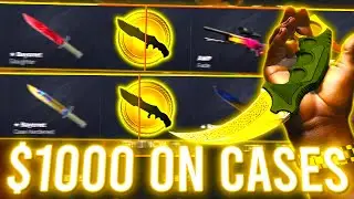 I SPENT $1000 on CASES and Got This... (HELLCASE)