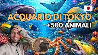 HO VISTO 500+ ANIMALI all'ACQUARIO di TOKYO