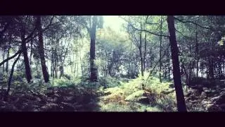 Red Epic Dragon graded with SpectraLUT: Wood