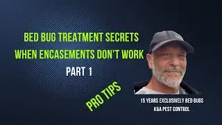 Bed Bug Treatment Secrets Part 1