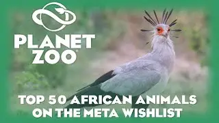 50 лучших животных Африки &mdash; Planet Zoo Animal Speculation