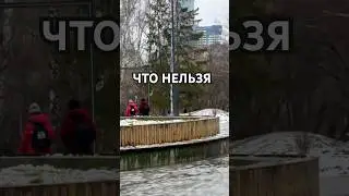 ЧТО НЕЛЬЗЯ ⬇️⬇️ #допрос #обыск #правагражданина #юридическаяпомощь #short