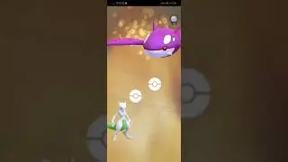 Shlundo Kyogre