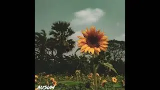 [FREE] Melodic Type Beat - 