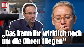 Pleiten, Pech und Pannen: AfD stolpert ins Super-Wahljahr | Vertraulich-Clips