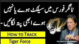 How to chek Tiger force Selection 2020