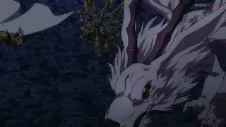 Digimon Tri || Tailmon Evolutions AMV.