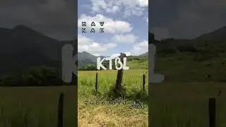 Driving Around PR - PROJECT: PUERTO RICO 🇵🇷