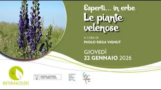 Le piante velenose // Esperti in erbe 2026