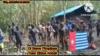 Pengakuan Tuan Elkius Kobak TPNPB Kodap YAHUKIMO.