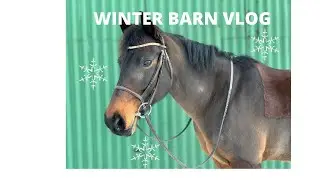 WINTER BARN VLOG // 2020