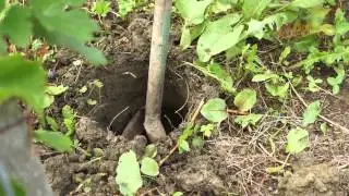 Klopotec v Podgorju pri Pišecah 2014