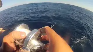 Eclipse Sportfishing - October 27, 2012 - Jig Stop Part 2