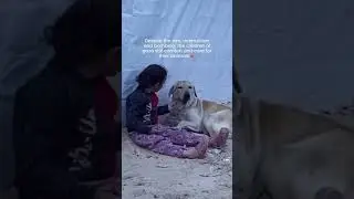 caring a dog in so much crisis |#doglover#  #helpdogrescues#dogrescues#dogcare