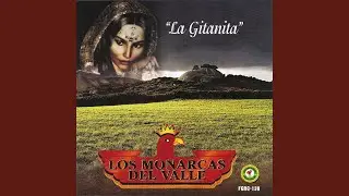 Quize Alcanzar una Estrella