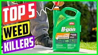 Top 5 Best Weed Killers On The Market in 2022 Reviews