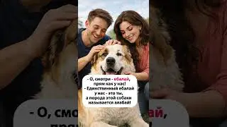 О, смотри..🐶😂 #shorts #прикол