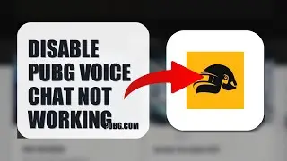 How To Disable PUBG Voice Chat Not Working 2025 (EASY GUIDE) (2026)