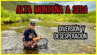Pesca de truchas a seca en la alta montaña #flyfishing #catchandrelease #pesca #trout #nature #fish