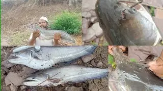 INCREDIBLE FISHING 🦦🎣 PATHAN FISH 🐠 BY SPOON HOOK 4KG 5KG👍👍🎣🪝🦈