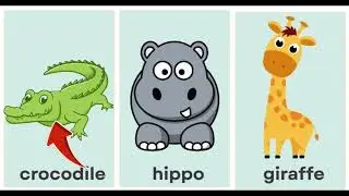 12.2 zoo animals