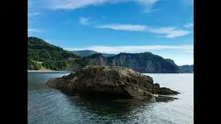 Beach Near by Beautiful Forest Ambiance |Waves|, |Birds|, |Soft Wind|