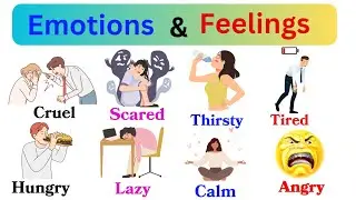 Emotions and Feelings - Learn English Vocabulary ( part 1 )