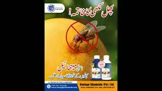 Fruit Fly Control with Original Methyl Eugenol &ndash; Vantage Chemicals