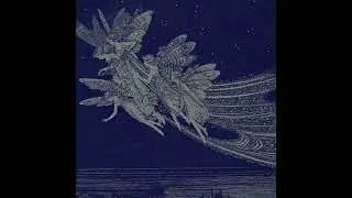 It feels like flying, but maybe we're dying