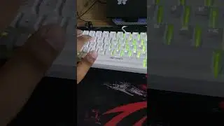 New Mechanical keyboard #mechanicalkeyboard #gaming ANT ESPORTS MK1300 V2 #antesports