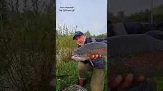 Trout Area Week &ndash; Savage Gear Grub Spinners. 😁👍