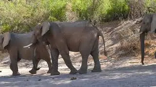 Namibia 2018 - White Lady Video