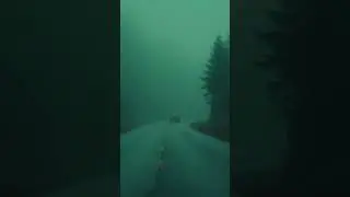 Driving into the Fog 🌫️🌲  Atmospheric Music for Calm & Reflection