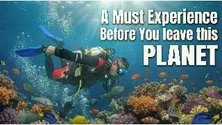Scuba Diving- Fujairah - mention *Details* in comment 