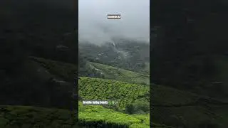 Breathe taking beauty #teaestates #munnar #monsoon#climate #tourism #explore #nature #scenicviews