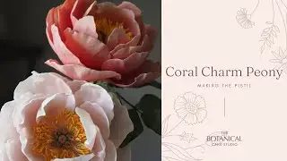Coral Charm Peony Sugar Flower Tutorial (Gumpaste / Flower Paste): Making the Stigma