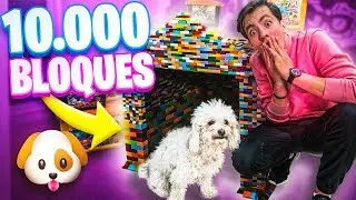CONSTRUIMOS UNA CASA PARA NUESTRA MASCOTA CON BLOQUES DE JUGUETE