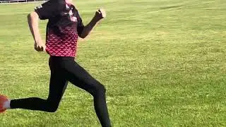Rep for training