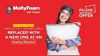 Master MoltyFoam Pillow Replacement 2025