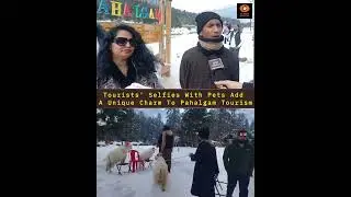 Tourists&rsquo; Selfies with Pets Add a Unique Charm to Pahalgam Tourism